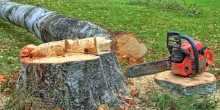 Best Stump Grinding and Removal  in Wellsville, OH